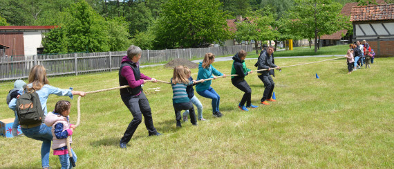 Tauziehen auf einer Wiese