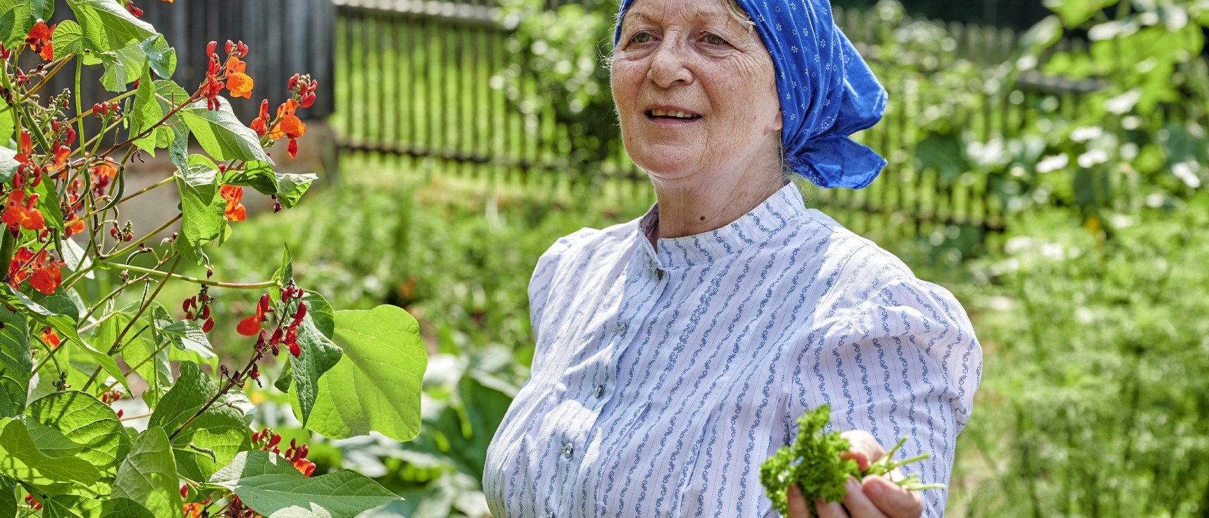 Frau in historischer Kleidung steht in einem Garten und hält Kräuter in der Hand