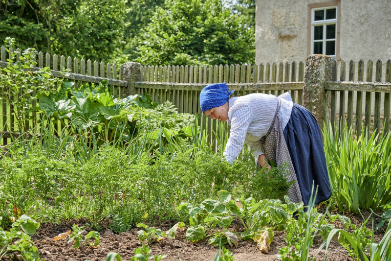 Frau arbeitet im Gem&uuml;segarten