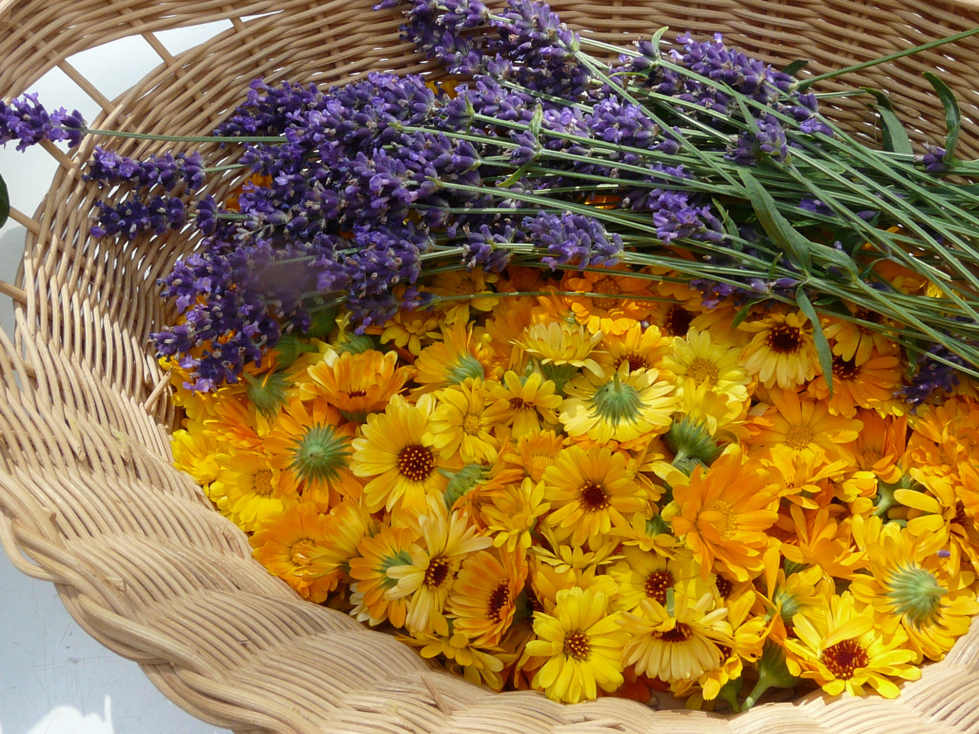 gelbe Bl&uuml;ten und Lavendelst&auml;ngel in einem geflochtenen Korb