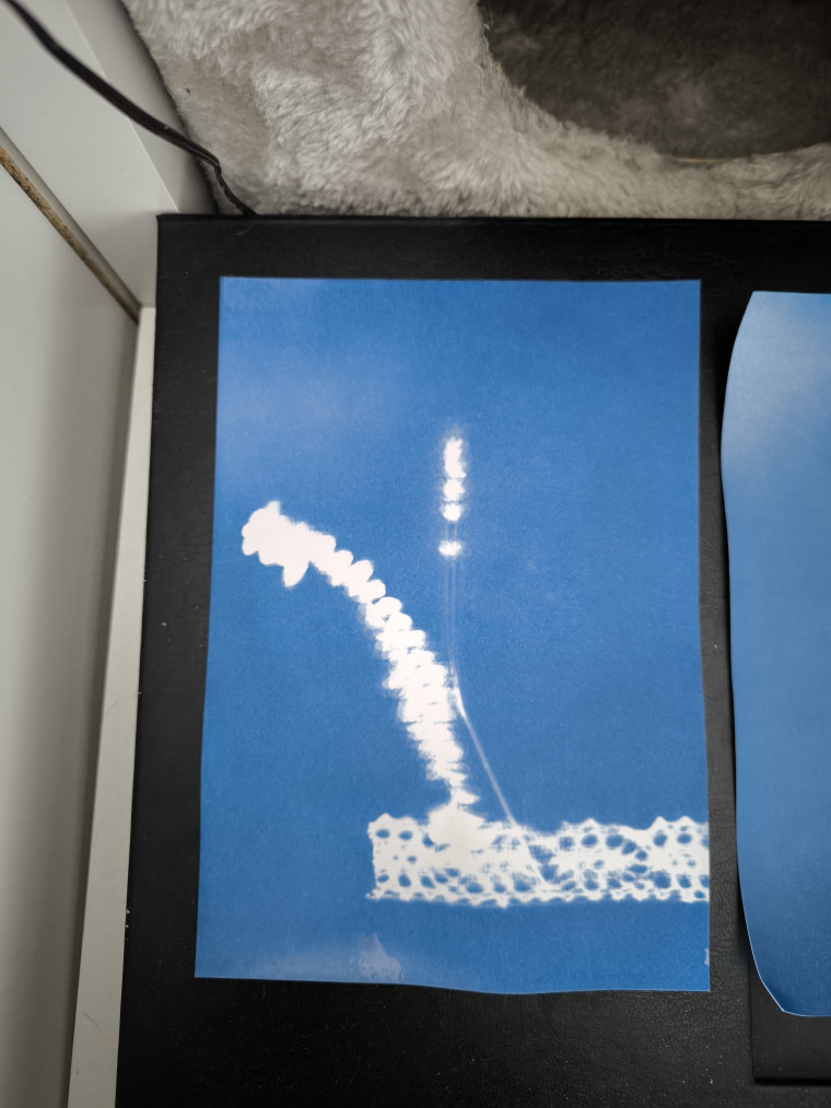 Foto: Carolin Fritze