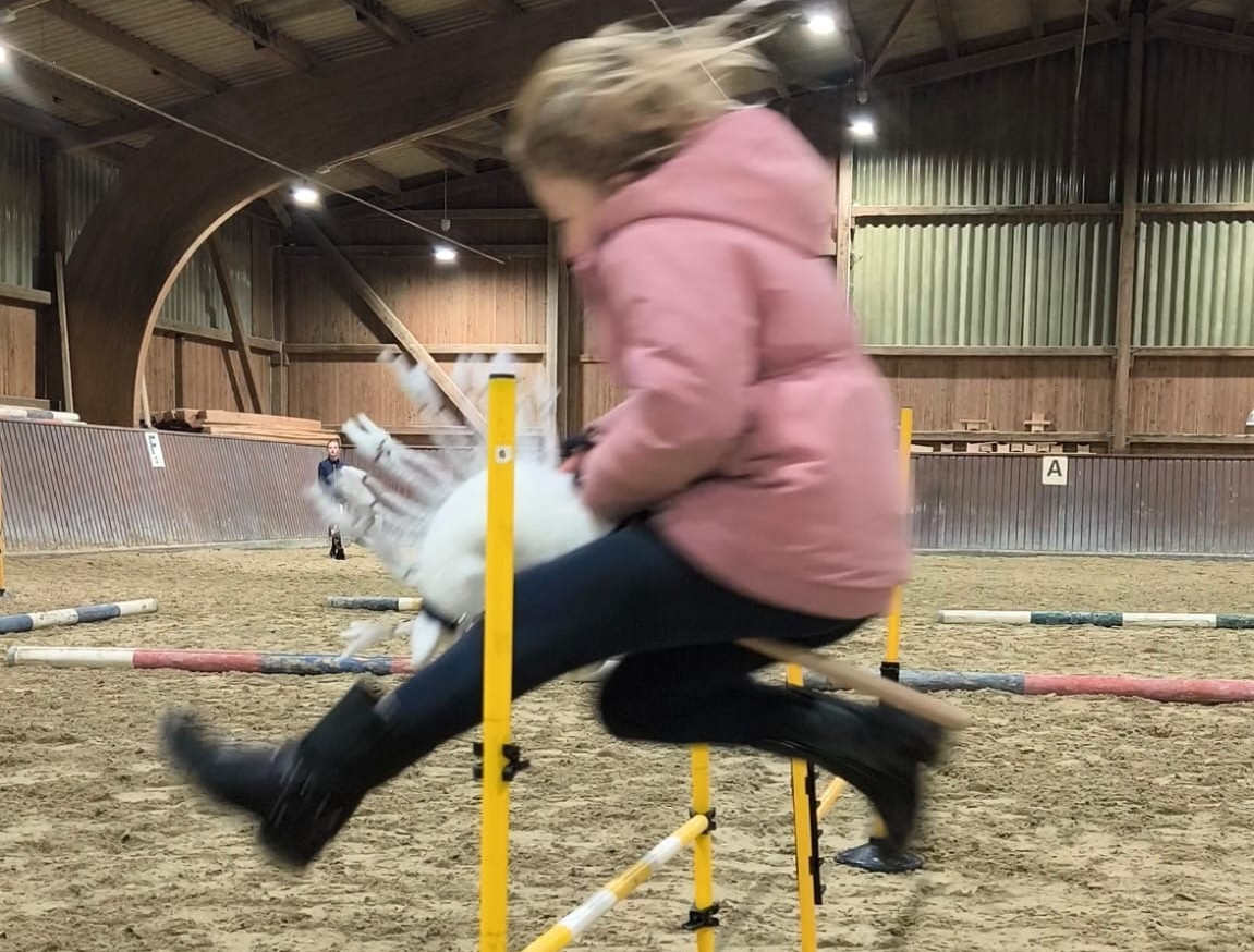 M&auml;dchen springt mit Hobby Horse &uuml;ber ein Hindernis