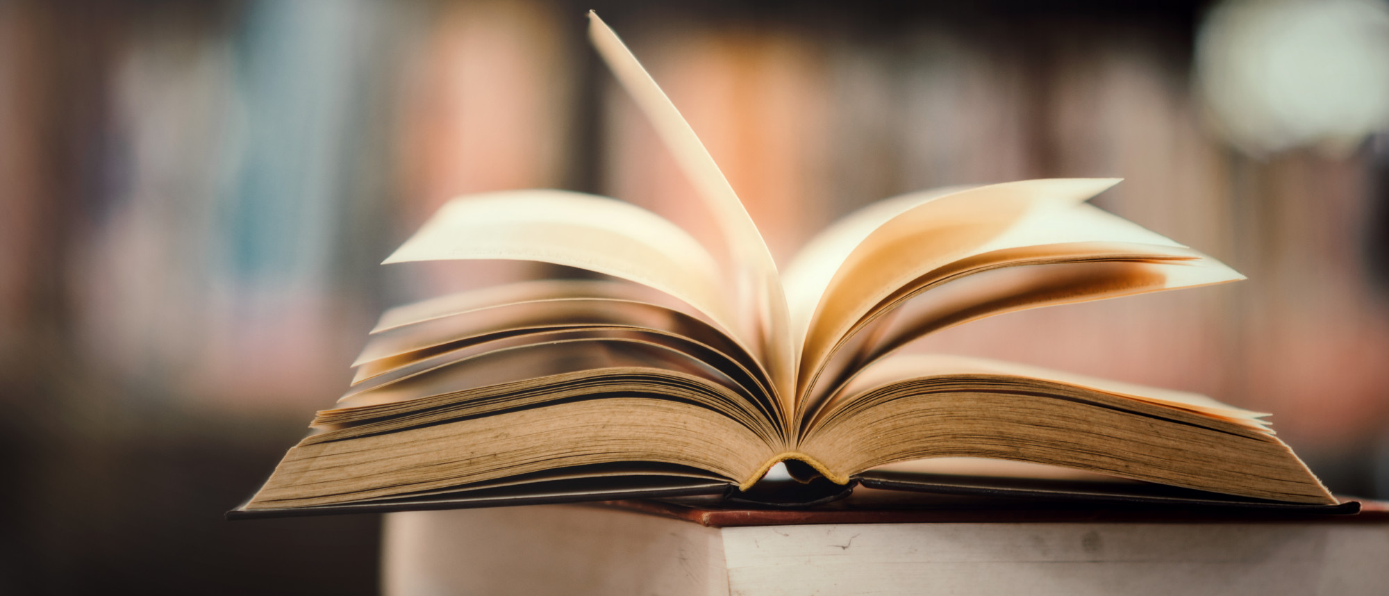 aufgeschlagenes Buch