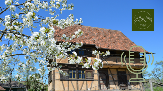 Obstbl&uuml;ten vor Fachwerkhaus, rechts oben Logo Rh&ouml;ncast, rechts unten Grafik Mikrofon