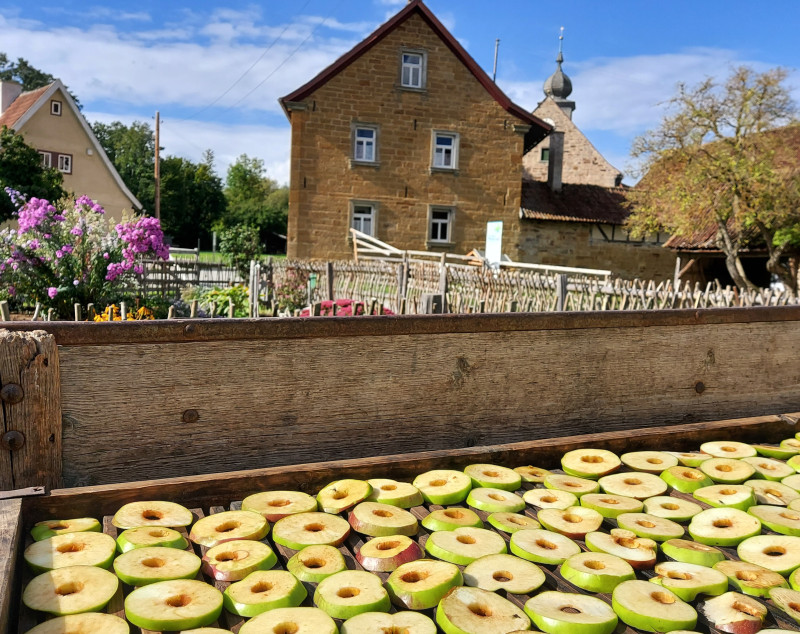 Apfelscheiben auf Anhänger