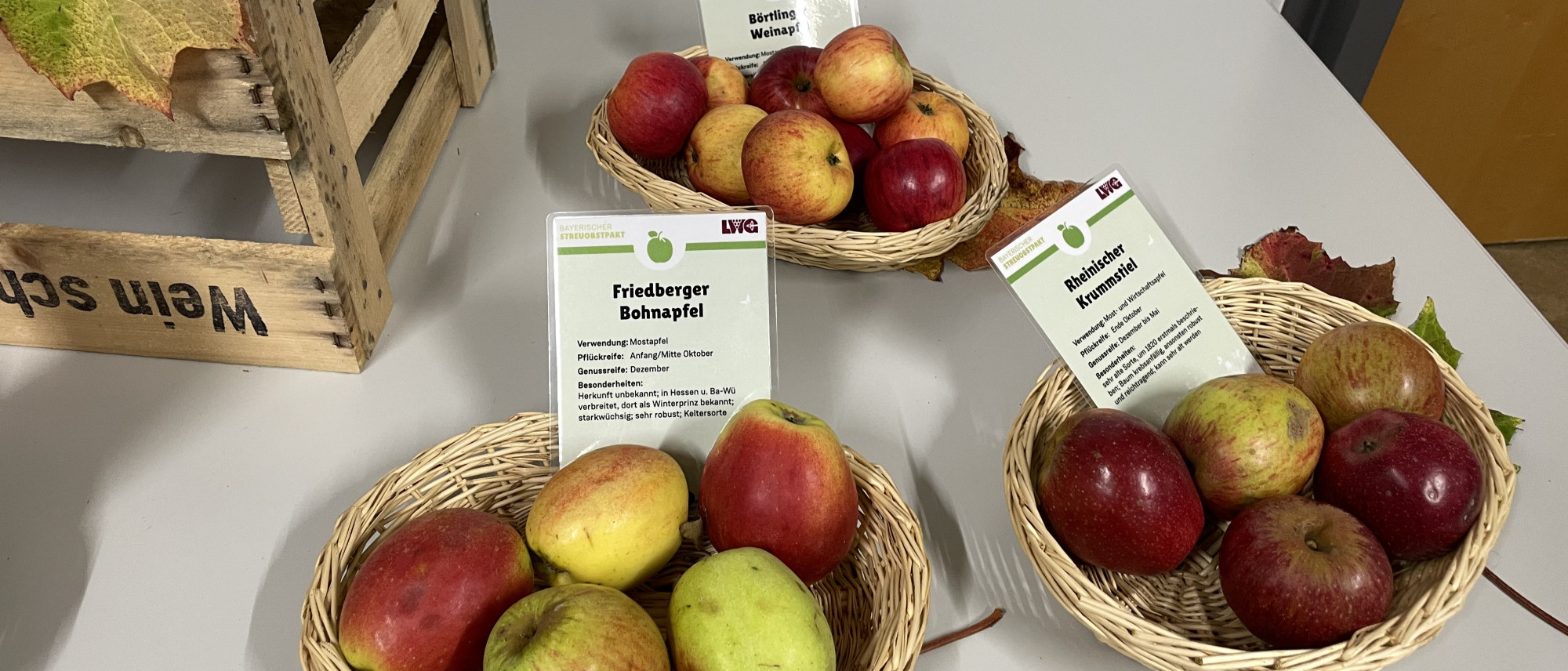 mehrere &Auml;pfel in drei K&ouml;rben auf einem Tisch, in jedem K&ouml;rbchen steckt ein beschrifteter Zettel