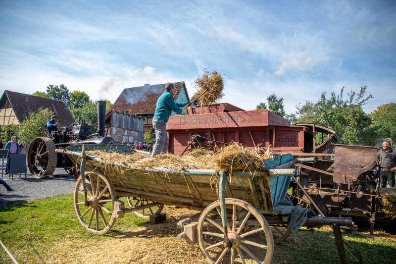 Person wirft Getreide auf eine historische Dreschmaschine im Freilandmuseum neben einem mit Stroh beladenen hölzernen Wagen
