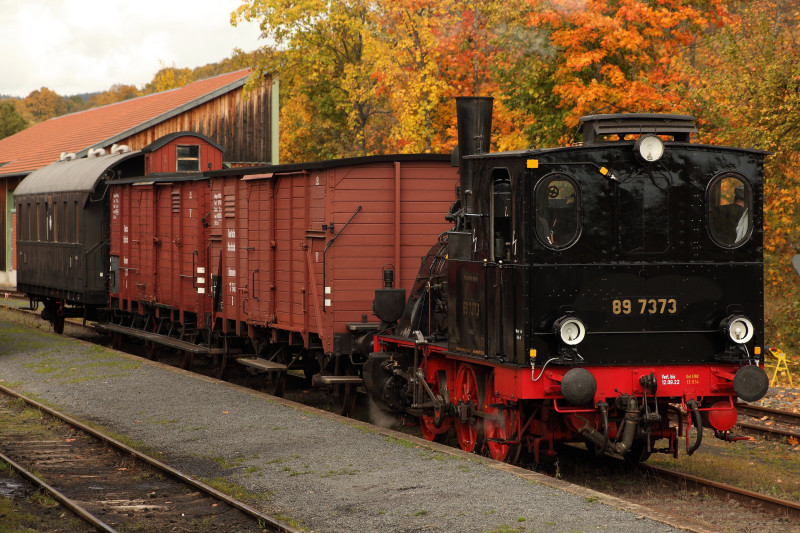 Dampflok mit mehreren Waggons auf dem Gleis vor herbstlich gef&auml;rbten B&auml;umen