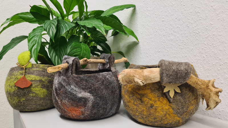 Drei K&ouml;rbchen aus Filz vor Gr&uuml;npflanze auf einem Schrank